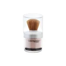 Color Institute Loose Face Shiner Powder