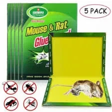 Mouse Rat Trap Book