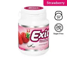 Exit Gum Bottle Turkiye Strawberry 50G