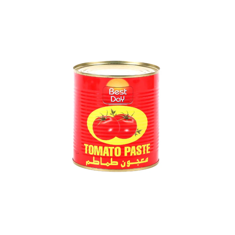 Best Day Tomato Paste 210G