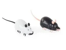 Pets Mouse Electric P284