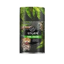 Storm Deodorant Body Spray Men Cool Jaguar 250ML