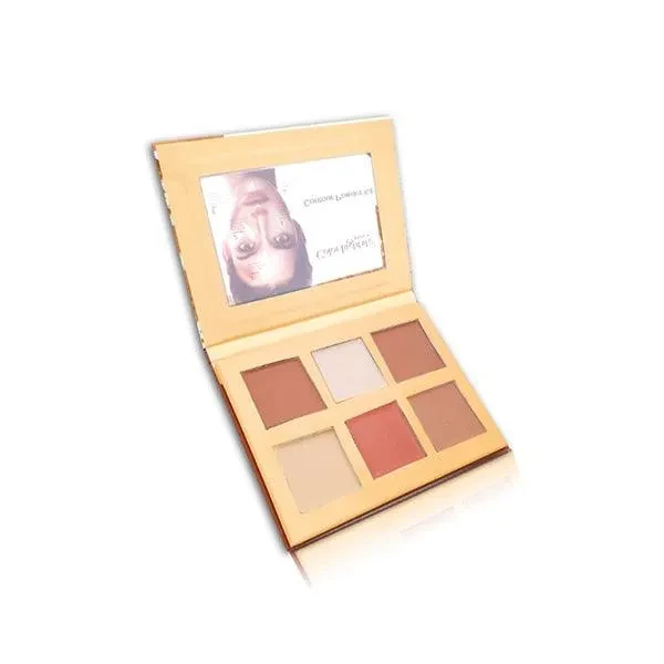 Color Institute Contour Powder Kit