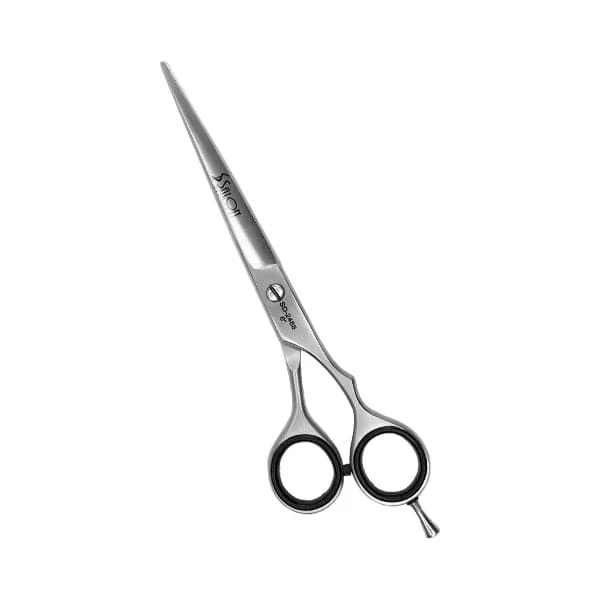 Professional Hair Scissors