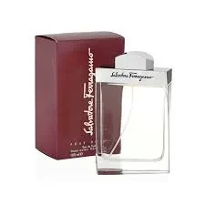 Salvatore Ferragamo EDT Pour Homme 100ML