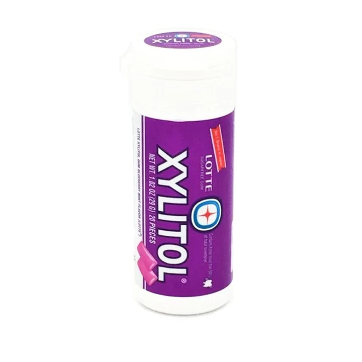 Xylitol Gum Blueberry