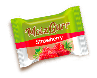 Moiz Foods Moiz Gurr Strawberry 192G