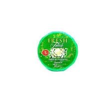 Fresh Touch Freshner Washroom Box Jasmine 50G