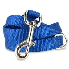 Dog Leash Blue Long