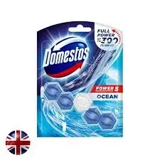 Domestos Toilet Block Twin 300 Flushes Ocean 55G