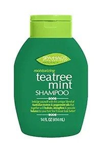 Spahaus Shampoo Tea Tree Mint 414ML